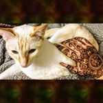 Profile Picture of Alice Anderson (@alice.anderson1206) on Instagram