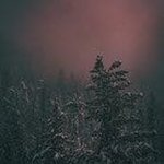 Profile Picture of Mark Lenz (@mark.lenz81) on Instagram