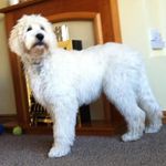 Paul Akerman - Instagram Profile Picture of Paul Akerman (@paul.akerman.165) on Instagram