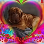 Profile Picture of Janey Franklin (@janey.franklin.90) on Facebook