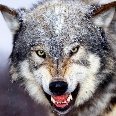 Profile Picture of Craig Tipton (@Ctipton580) on Twitter
