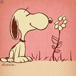 Profile Picture of Kaitlyn Downing (@iloveunicornsandunicornsloveme) on Instagram