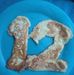 Profile Picture of Shannon Rock (@shannon.rock.7161) on Facebook