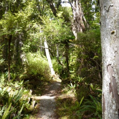 Profile Picture of Matthew Dower (@Orinjamba) on Twitter