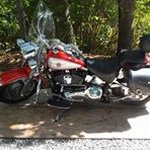 Profile Picture of Steven Mercurio (@mercuriosteven) on Instagram