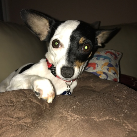 Profile Picture of Ellen Ozderman (@xyi1) on Poshmark