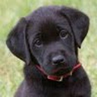 Profile Picture of Kaitlyn Denton (@kaitlyn-denton-4) on Quora