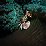 Profile Picture of Kyle Finnegan (@finnegankp) on Flickr