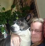 Profile Picture of Cindy Chisum (@akmemyselfandi) on Facebook