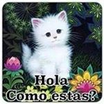 basilio pacheco - Instagram Profile Picture of basilio pacheco (@pachecobasilio) on Instagram