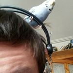 Profile Picture of Timothy Coker (@cokertd) on Instagram