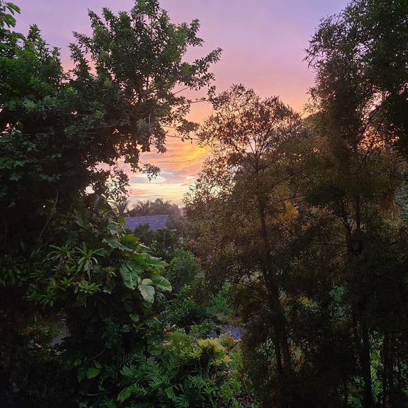 Profile Picture of Tim Bernard (@bnodsnads) on Poshmark