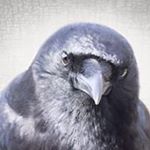 Profile Picture of David Magnussen (@woodsman_oceanside) on Instagram