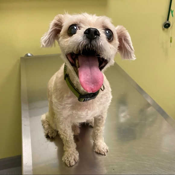 Profile Picture of Antonio Hoyos (@waldo0757) on Poshmark