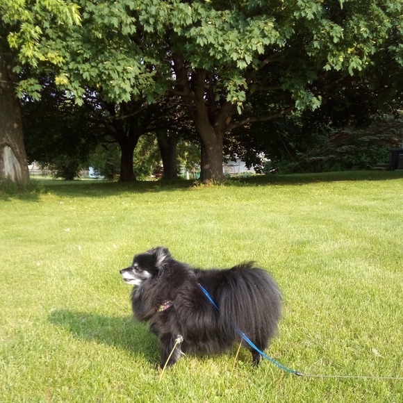 Profile Picture of Randy Brockman (@randy_brockman) on Poshmark