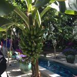 Profile Picture of 1 follower (@catherinedietrich38) on Instagram