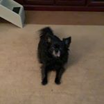 Profile Picture of Paula Babin (@mekobabin) on Instagram