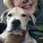 Profile Picture of Andrew Lafferty (@laffertya) on Instagram