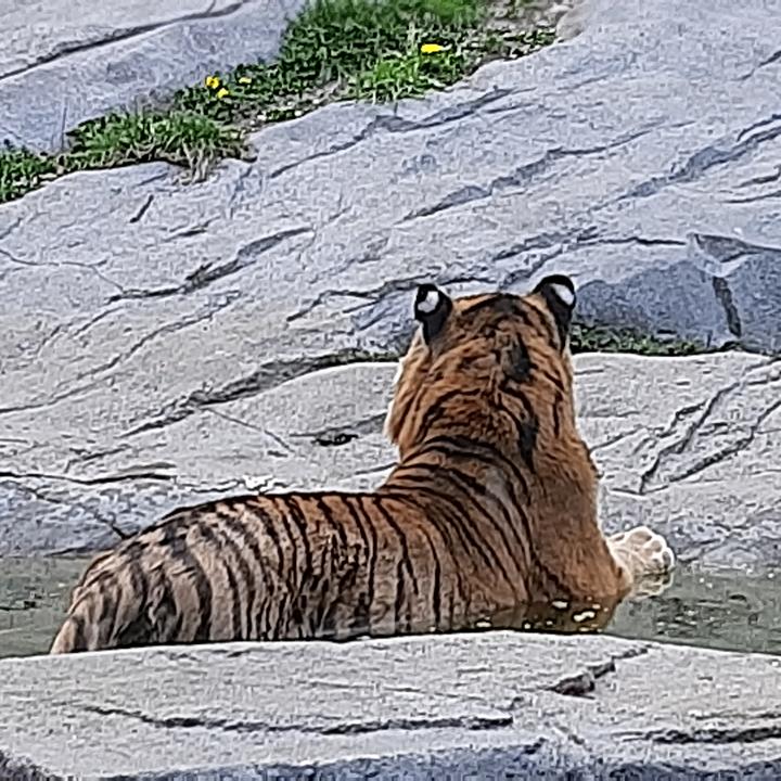 Profile Picture of user6253082077351 (@lorenzorosario04) on Tiktok