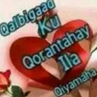 Profile Picture of Hassan Kafi (@HassanKafi13) on Twitter