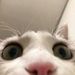 Profile Picture of Taos Benkaci (@Taoooos) on Pinterest