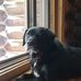 Profile Picture of Scott Scherer (@scott.scherer.161) on Facebook