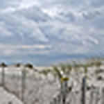 Profile Picture of Jason  Hamilton (@irisavnes) on Flickr