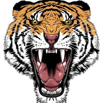 Profile Picture of JOE Pawlak! (@JOEPawlak13) on Twitter