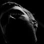 Profile Picture of Daryl Mulvihill (@@dmaumedia) on Tiktok