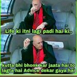 Profile Picture of steven demello (@demsteven) on Instagram