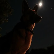 Profile Picture of Richard Maynard (@richardmaynard8640) on Youtube