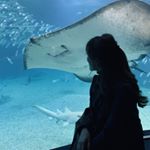 Profile Picture of Irene Tsui Lok Lam (@irinlamlam) on Instagram