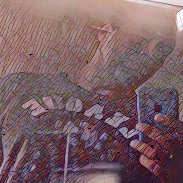 Profile Picture of Alexandre Mendes (@maximoalexandre) on Twitter