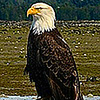 Profile Picture of Matt Gallagher (@gallagher1191) on Flickr