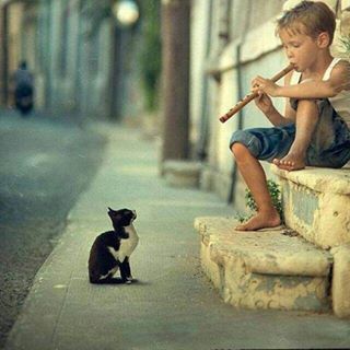 Profile Picture of Armando Barillas (@armando.barillas.79) on Facebook