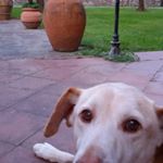 Profile Picture of Lucia Baldassari (@baldassarilucia) on Instagram