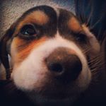 Profile Picture of Chris Murawski (@chrismurawski) on Instagram