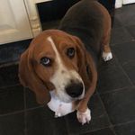 Profile Picture of boydkramer22 (@boydkramer22) on Instagram