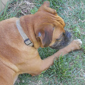 Profile Picture of Jessica Capps (@jessicacapps1) on Youtube