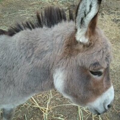 Profile Picture of Michael Bellerose (@dyrtycash23) on Twitter