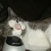 Profile Picture of Chris Carstens (@chris.carstens.908) on Facebook