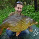 David Schindler - Instagram Profile Picture of David Schindler (@david.schindler78) on Instagram