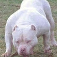 Profile Picture of Steve Mundy (@steve-mundy-11) on Quora