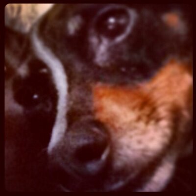 Profile Picture of Stephen Colby (@s_colbs22) on Twitter