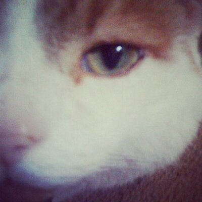 Profile Picture of Lisa Wheeldon (@LisaJW3) on Twitter