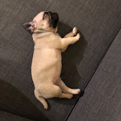 Profile Picture of XU HE (@xuhe6299) on Youtube