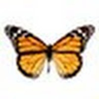 Profile Picture of Neil Conti (@neil-conti) on Quora