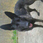 Profile Picture of dennis (@dennisplummer) on Instagram