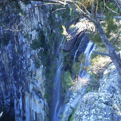 Profile Picture of Gail Dennison (@giveitago11) on Twitter