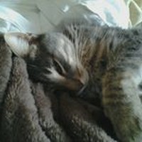 Jillian Waters - Quora Profile Picture of Jillian Waters (@jillian-waters-3) on Quora